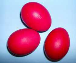 Décoration des oeufs de Pâques Teindre les oeufs en rouge